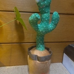 ダンシングサボテン