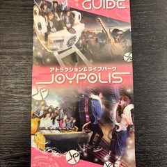 ジョイポリス　一日フリーパス　一枚の画像