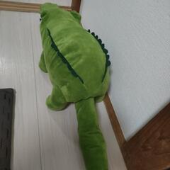 クロコダイルの画像