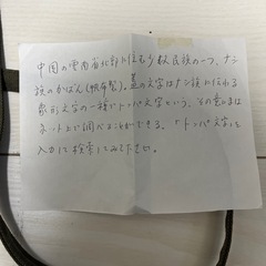 バックの画像