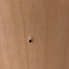 収納付きスタンドミラーの画像