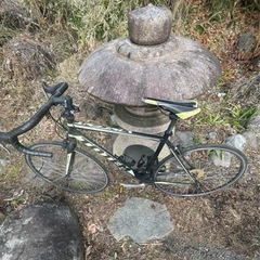 totem　
