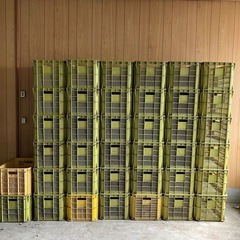 コンテナ　農業用カゴ　みかん箱　みかんケース　工具箱　一箱300...