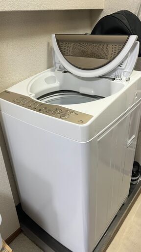 洗濯機　東芝　AW-6G8　2020年製