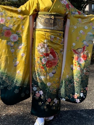 振袖、帯のセット