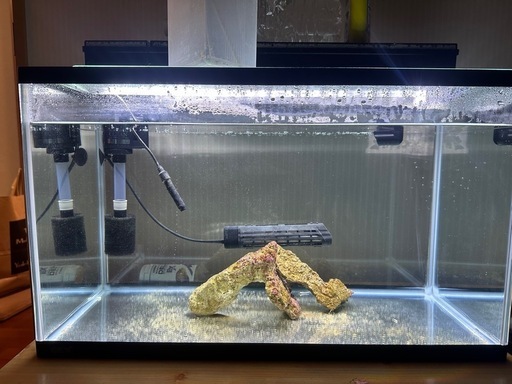 60cm水槽セット　引き取り限定