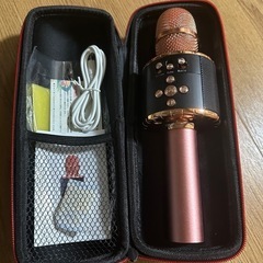 エコーマイクの画像