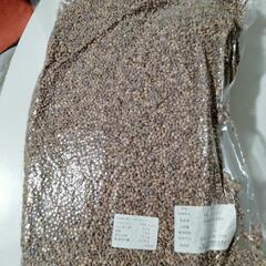 お取引中 岐阜県産 もち麦 5kg 品種ダイシモチ