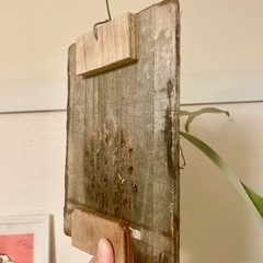 オシャレ観葉植物！元気な板付ビカクシダ　コウモリラン　古材使用でいい感じの風合いです！　の画像