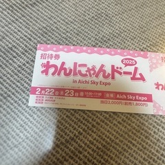 決まりました！