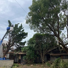 伐採・草刈り・困り事 - 地元のお店
