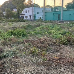 伐採・草刈り・困り事 - 剪定/造園