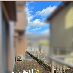 草刈り、剪定、伐採、お庭のことご相談ください🌱 - 名古屋市