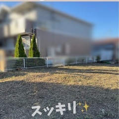 草刈り、剪定、伐採、お庭のことご相談ください🌱 - 地元のお店