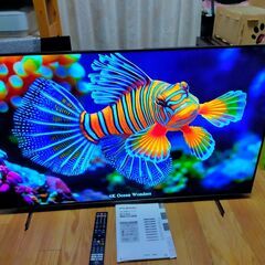 ②【 動画あり】55000円→39000円 本当に映画が綺麗です...