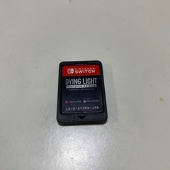 Switch  ダイイングライト　　ソフトのみ