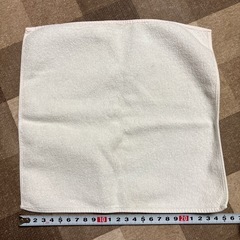 新古品 カクレモモジリ こびとづかん タオルハンカチの画像