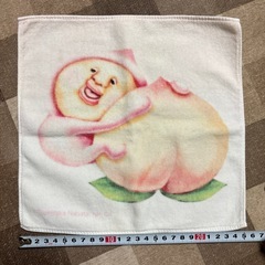 新古品 カクレモモジリ こびとづかん タオルハンカチ