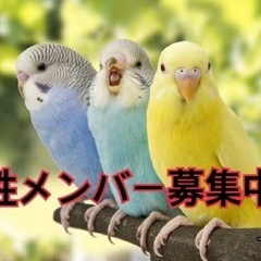 60代以降の女性メンバー募集中です！