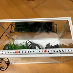 小型水槽セット　(希望者にはメダカ、シュリンプ、水草付き)の画像
