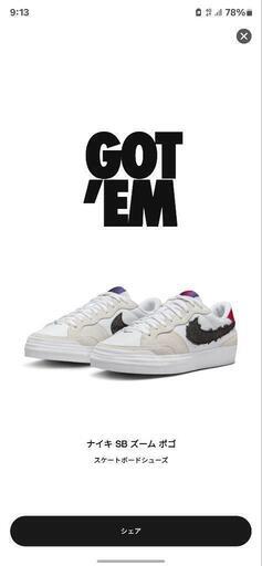 Sky Brown × Nike SB Women's Zoom Pogo Plus QS \