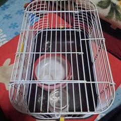 小動物ゲージ(現状販売)の画像