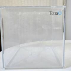 テトラ (Tetra) 水槽 アクアリウム