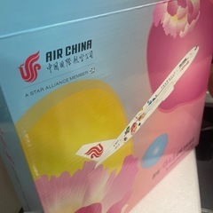 中国国際航空錦礼号彩絵　模型　完成品