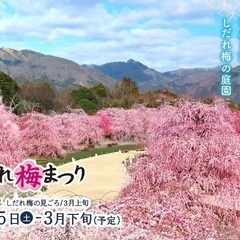 【現5名】3/1三重の梅巡り@東京発。　旅行仲間