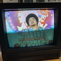 カラーモニターお譲りします