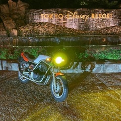 srx 250
の画像