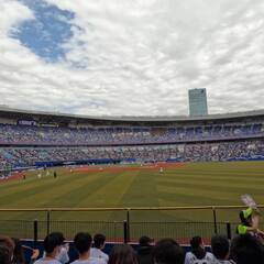 ZOZOマリンで野球観に行ける方募集