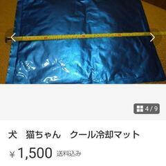 ペットアイスノン大の画像