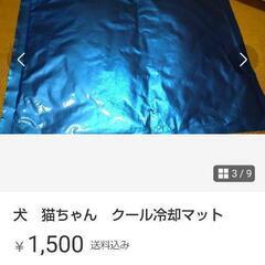 ペットアイスノン大の画像