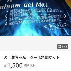 ペットアイスノン大の画像