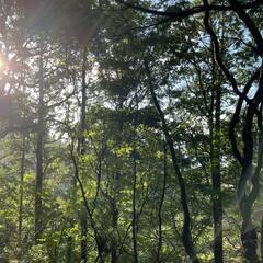 🌱波動エネルギー施術🌱 - 長崎市
