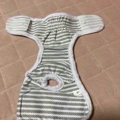 ワンちゃん　女の子用パンツの画像
