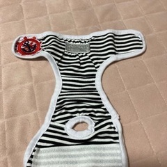ワンちゃん　女の子用パンツ