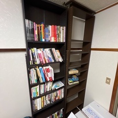 突っ張り薄型本棚