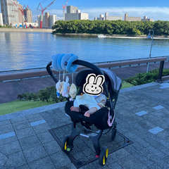 【ISOFIXベース付】doona ベビーカードゥーナ  の画像