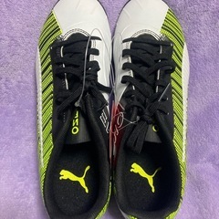 ※お話中※期間限定値下げ【未使用品】PUMAトレーニングシューズ25.0cmの画像