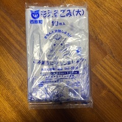 西原町の燃えるゴミ大サイズ