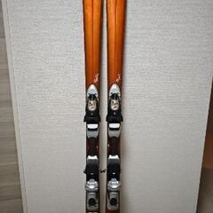 NORDICA カービングスキー 板 173cm
