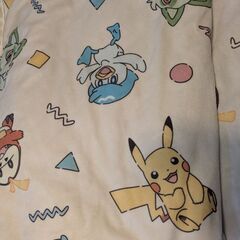 【美品】ポケモンのブランケット