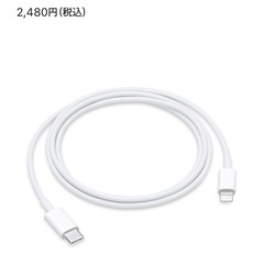 🌈未開封　Apple純正　　ケーブル　の画像