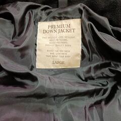 ユニクロダウンの画像