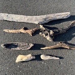 流木　７本セット　　