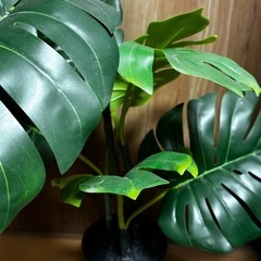 【引渡先決定】IKEA フェイカ　3点セット　フェイクグリーンの画像