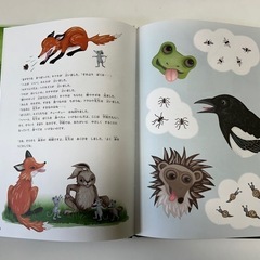 IKEAの大きな絵本　箱付き3冊セットの画像