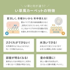 畳　上敷き　畳カーペット　6畳サイズ　3/26に受け取れる方の画像